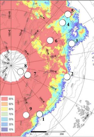 Проведено аналіз складу і структури спільнот мегафауни в східній частині Північно-Льодовитого океану