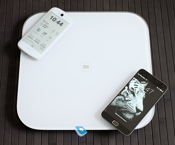 Розміри типових підлогових ваг, не можна назвати Xiaomi Scale занадто важкими або занадто великими