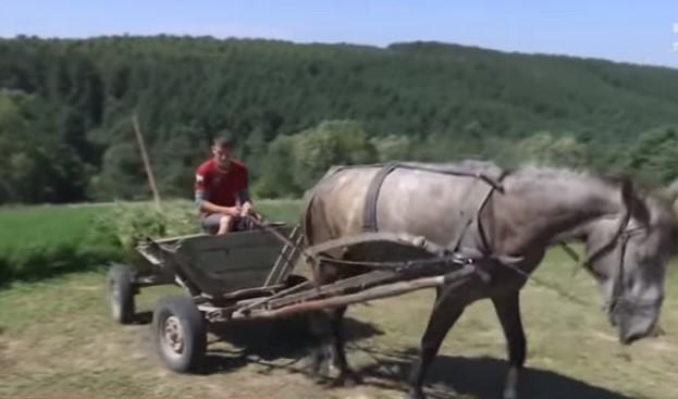 Психолог вважає, що в разі, якщо дитяча праця не з-під палиці та ще й приносить моральне задоволення, такі канікули приносять тільки користь