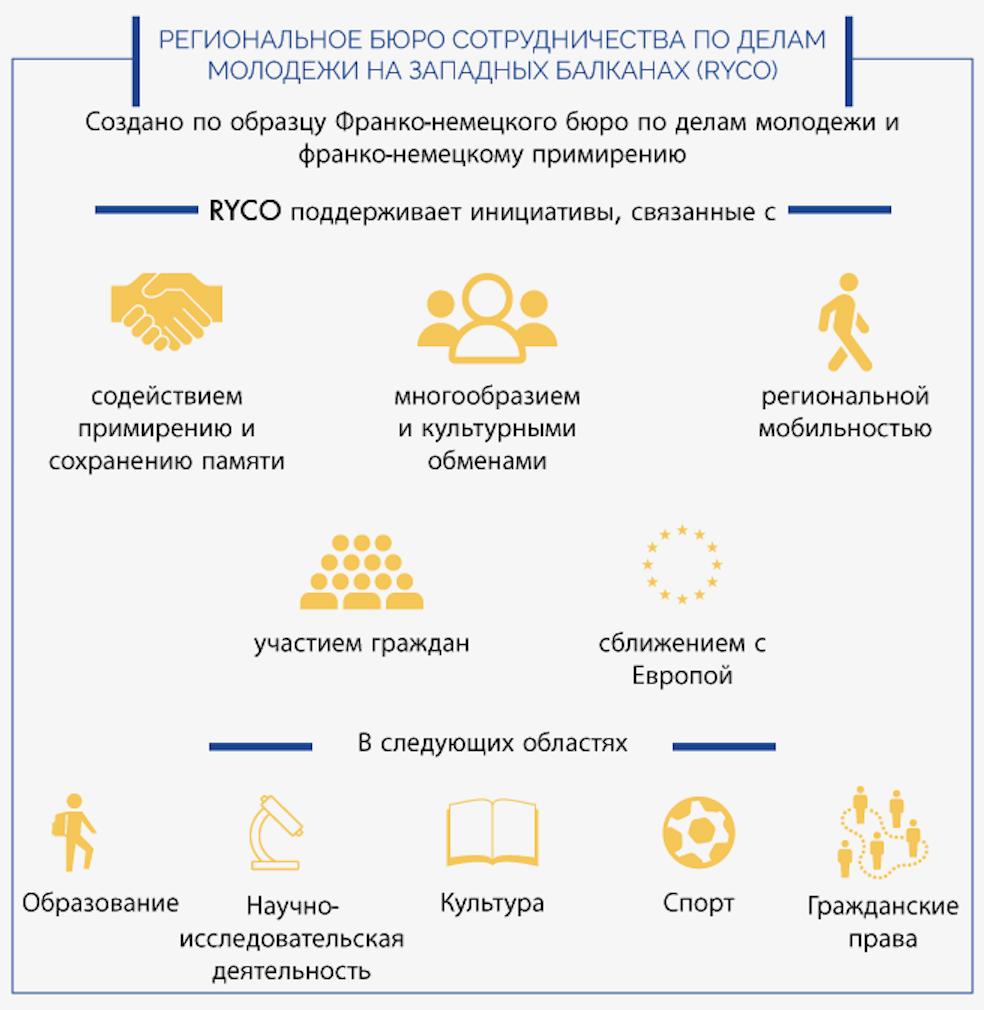 Підтримувані RYCO ініціативи