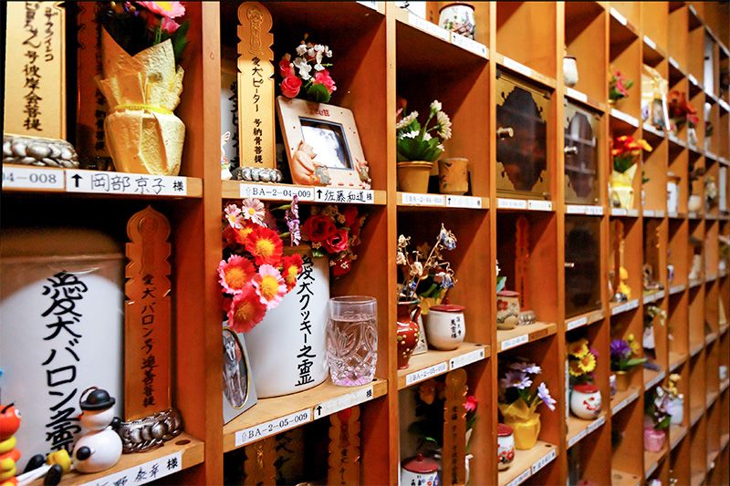 Колумбарій для попелу домашніх улюбленців при храмі Дзіндайдзі в Тьофу, Токіо