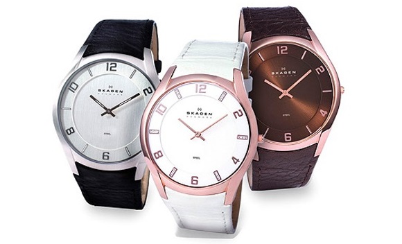 Хоч компанія і не відноситься до гігантів годинникової індустрії, Skagen займає міцні позиції серед представницьких брендів бізнес-класу